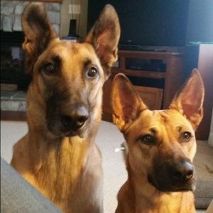 Meet your Posher, Susan